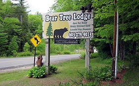 Bear Tree Lodge Meredith